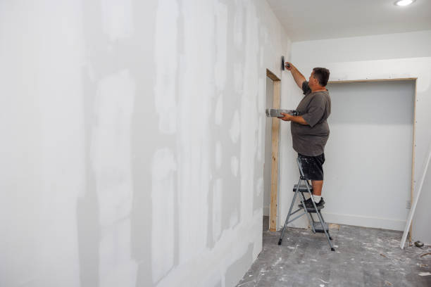 Best Emergency Mold Remediation  in Beaver, OK